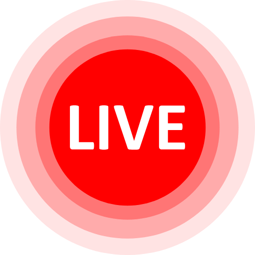 1 On 1 Cam Adult